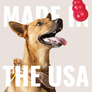 Dog with a red KONG toy and 'Made in the USA' text on a beige background at Pet Servo
