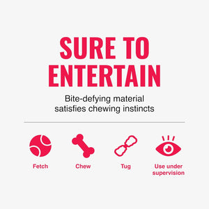 Promotional graphic for a dog chew toy with the text 'SURE TO ENTERTAIN' and 'Bite-defying material satisfies chewing instincts' on a light gray background, plus four pink icons labeled Fetch, Chew, Tug, and Use under supervision at Pet Servo