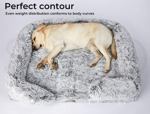 Dog lying on a fluffy gray pet bed with text about perfect contour and even weight distribution at Pet Servo