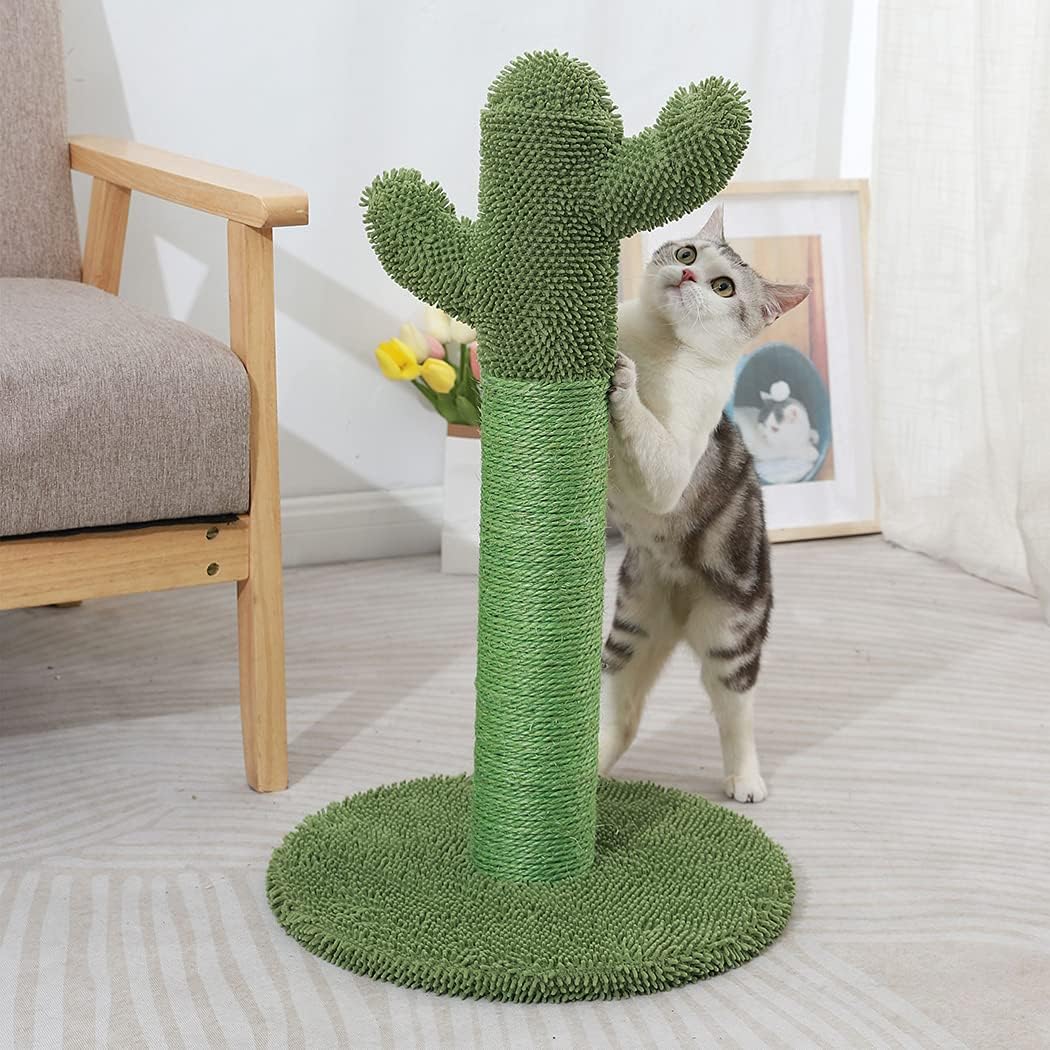 A green cactus-shaped cat scratching post with a round textured base, shown in a bright room with a gray-and-white cat standing behind it at Pet Servo