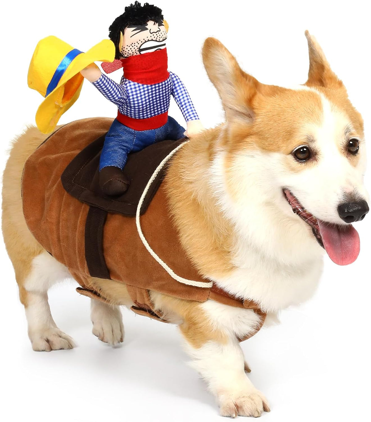 Dog wearing a costume with a small figure on its back, set against a white background at Pet Servo