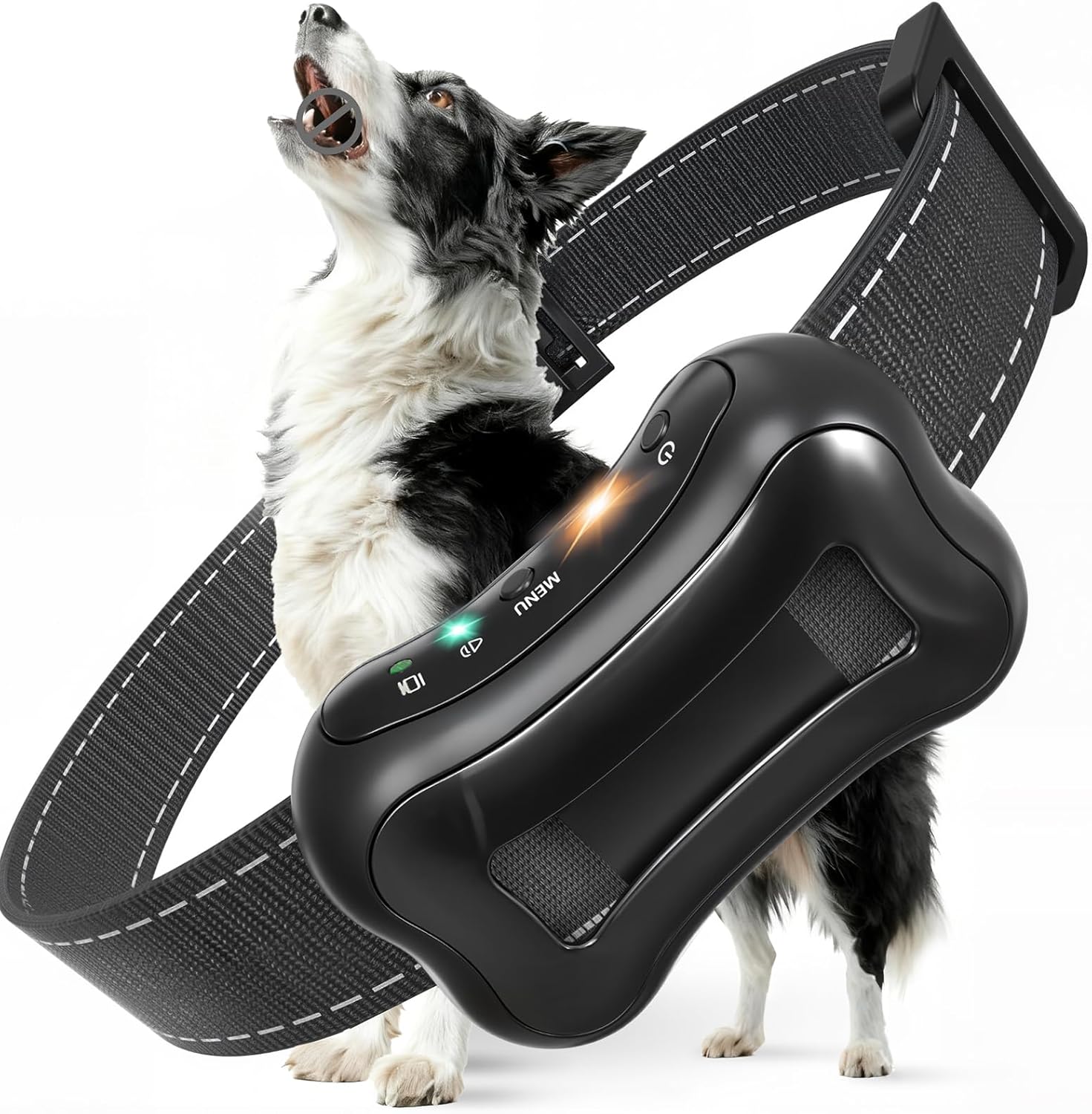 Dog wearing a black electronic collar on a white background at Pet Servo