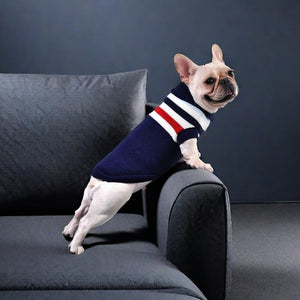 GHAOSG - Blue Stripe Puppy & Kitten Knit Sweater - Petservo