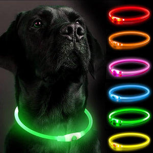 Dehlso - LED Dog Collar – Rechargeable Light-Up Safety Gear - Petservo