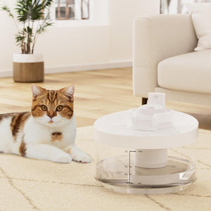 A cat sits on a light beige rug next to a white pet water fountain with a clear water reservoir in a bright, modern living room at Pet Servo