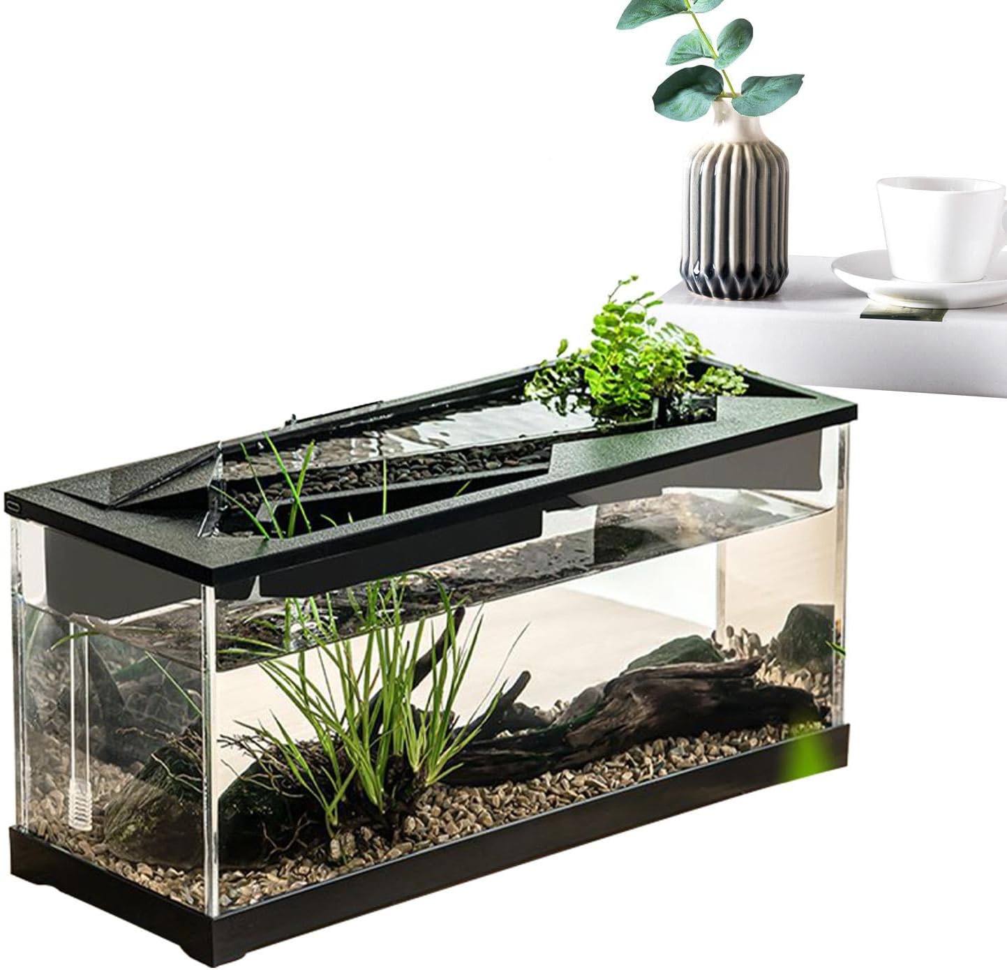 Modern aquarium with decorative plants and rocks on a white background at Pet Servo