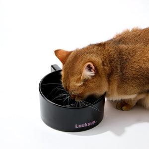 A golden cat drinking from a black Luuksup pet bowl on a clean white background at Pet Servo