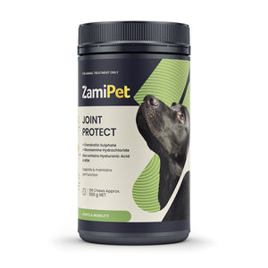 ZamiPet Joint Protect supplement container with a dog on the label against a white background