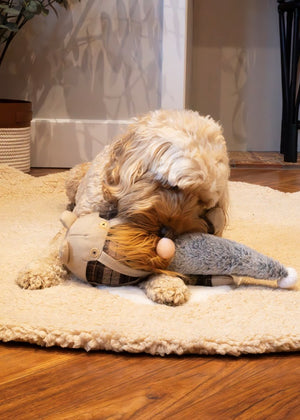 Rosewood - Gerard Gonk - Pet Servo