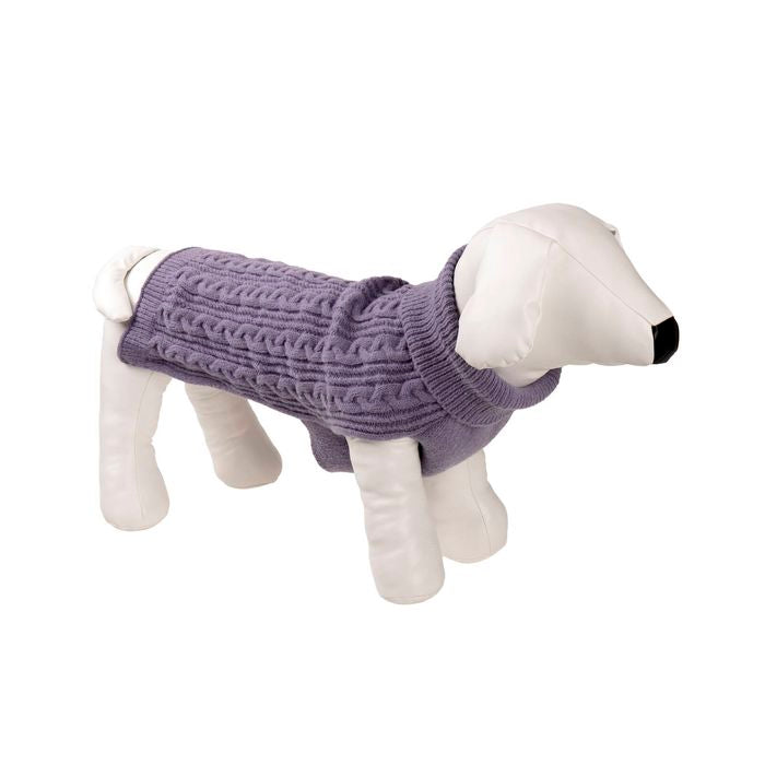 Dog wearing a purple knitted sweater on a white background