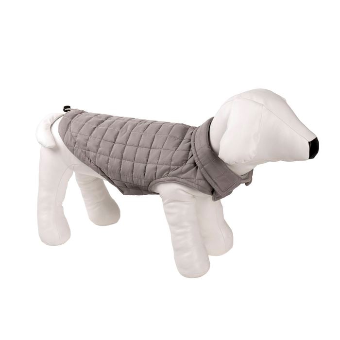 Dog wearing a gray quilted coat on a white background