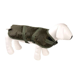 Green dog vest on a mannequin against a white background