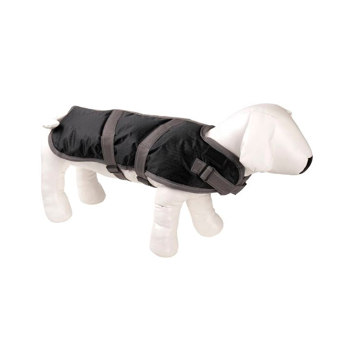 Black dog coat on a white dog model