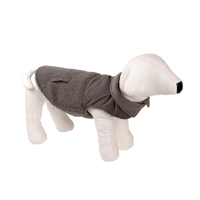 Dog wearing a gray sweater on a white background at Pet Servo
