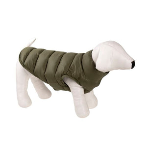 Dog wearing a green coat on a white background