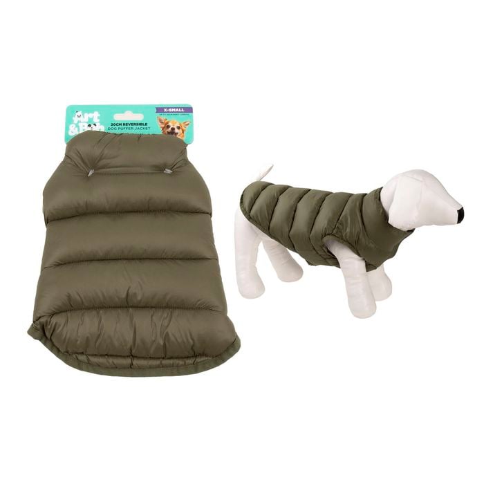Green dog puffer coat on a white background with a small dog model wearing it.