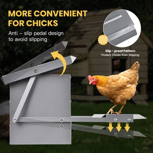 Chicken coop with anti-slip pedal design to prevent chicks from slipping, with a chicken nearby at Pet Servo