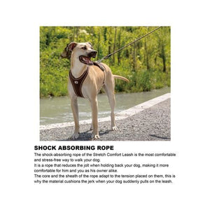 Curli - 180 x 1cm Red Large Dog Stretch Comfort Leash - petservo