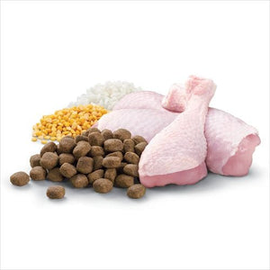 Optimum - 18kg Chicken Vegetables Rice All Breed Adult Dog Dry Food - petservo