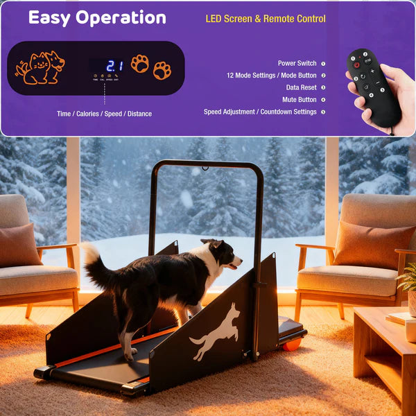 Advwin - Electric Dog Treadmill for Small & Medium Dogs