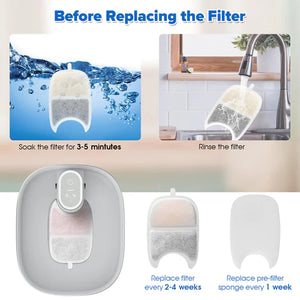 Instructions for replacing a filter with images and text on a white background at Pet Servo