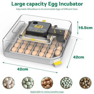 Egg incubator with dimensions and features highlighted on a white background