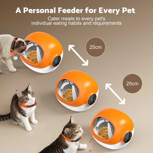 Buy Advwin - RFID Microchip Automatic Cat Feeder with Collar at Pet Servo