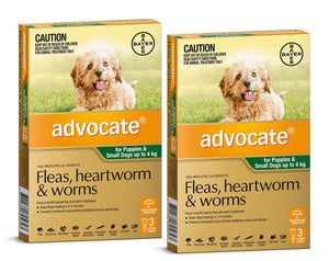 Two boxes of Advocate for small dogs on a white background at Pet Servo