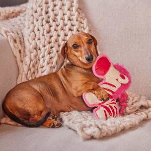 Small dog sitting on a couch with a pink skeleton toy