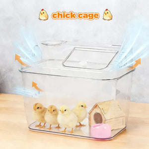 Clear chick cage with small wooden house and chicks on a light gray background
