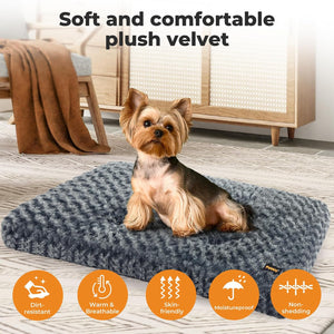 Pawz Soft Swirl Pattern Dog Bed Mat Plush Velvet with Machine Washable at Pet Servo