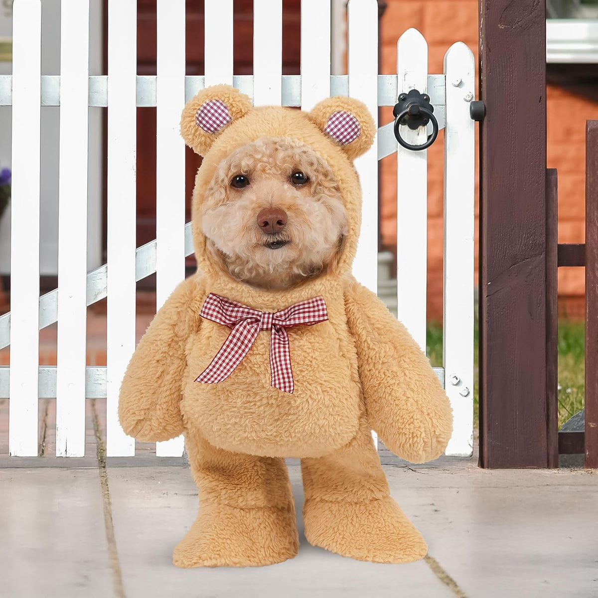 Dog wearing a teddy bear costume with a checkered bow tie in front of a white picket fence at Pet Servo