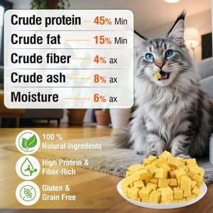 Cat sitting on a rug with cat food and nutritional information displayed at Pet Servo