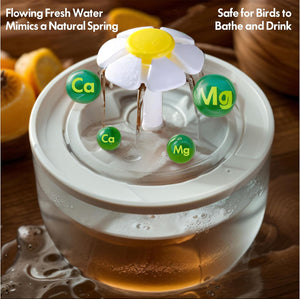 Bird bath with a flower-shaped faucet and labeled minerals on a wooden surface at Pet Servo