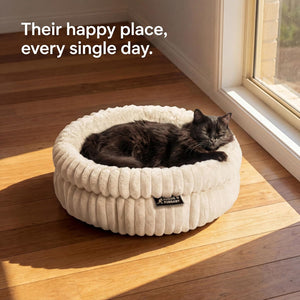 Cat lying in a plush white pet bed on a wooden floor with sunlight streaming in at Pet Servo