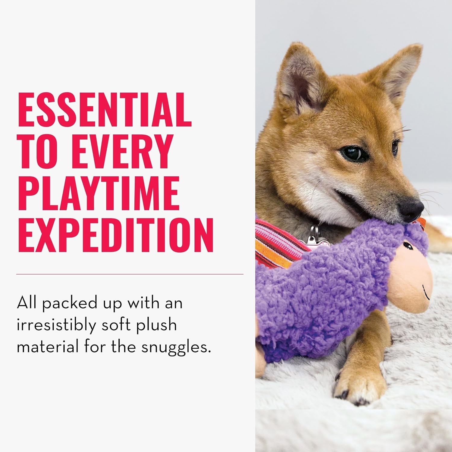 Dog playing with a purple plush toy on a white background, with text about playtime and plush material at Pet Servo