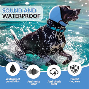 Dog running in water wearing a blue collar with text about sound and waterproof features at Pet Servo