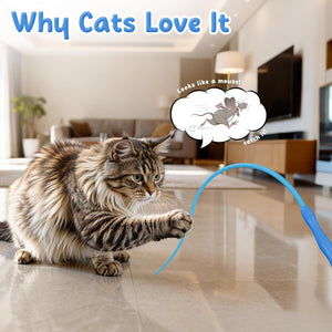Cat playing with a blue toy mouse on a tiled floor in a living room at Pet Servo