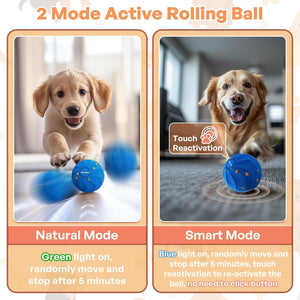 Two modes of an active rolling ball for dogs with text and images at Pet Servo
