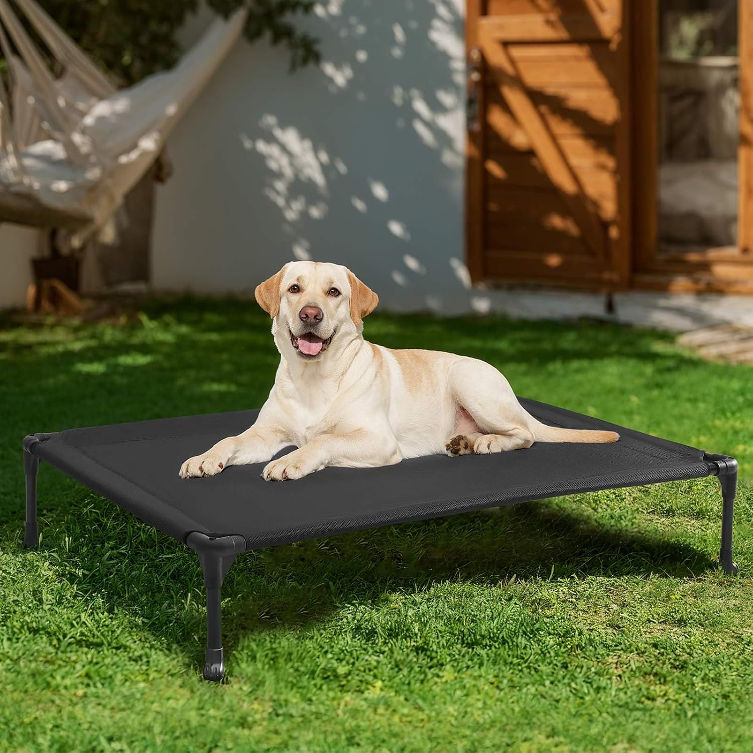 Dog lying on a black elevated pet bed in a backyard