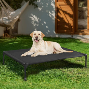 Dog lying on a black elevated pet bed in a backyard