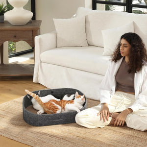 Woman sitting on the floor with two cats in a pet bed in a living room at Pet Servo