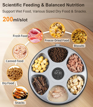 Pet food dispenser with various food types and digital timer on a wooden background at Pet Servo