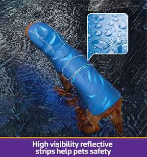 Dog wearing a blue reflective safety vest on a rainy day with water droplets at Pet Servo