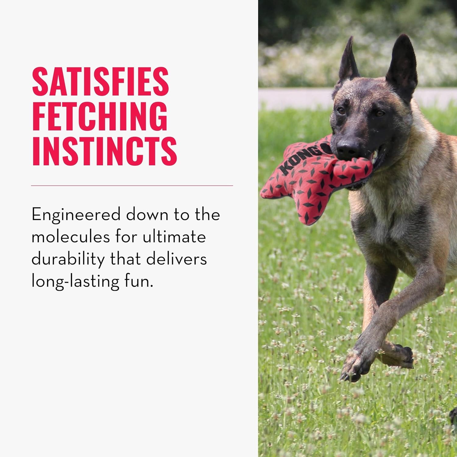 A dog running through grass holding a red Kong toy in its mouth, with marketing text on the left that reads 'SATISFIES FETCHING INSTINCTS' and 'Engineered down to the molecules for ultimate durability that delivers long-lasting fun.' at Pet Servo