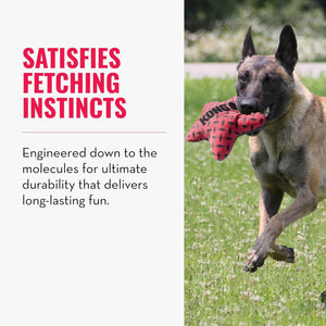 A dog running through grass holding a red Kong toy in its mouth, with marketing text on the left that reads 'SATISFIES FETCHING INSTINCTS' and 'Engineered down to the molecules for ultimate durability that delivers long-lasting fun.' at Pet Servo