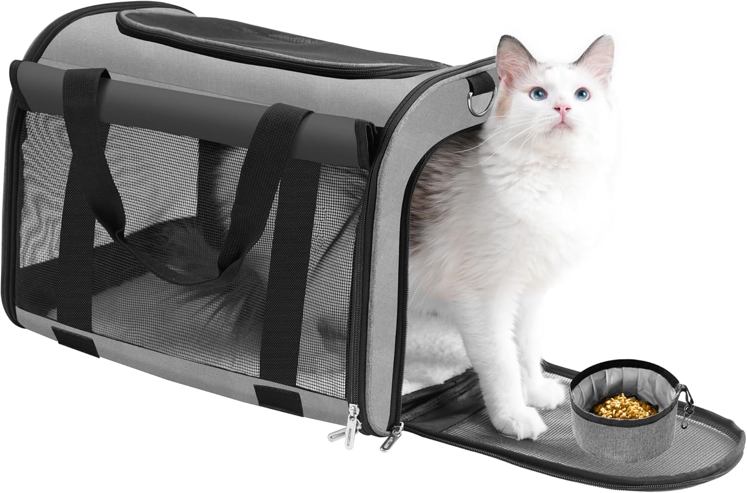 Cat sitting inside a gray pet carrier with a bowl of food on a white background at Pet Servo