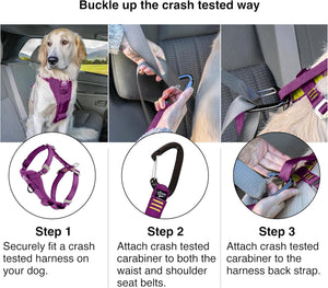 Steps to use a crash-tested dog harness and carabiner in a vehicle at Pet Servo