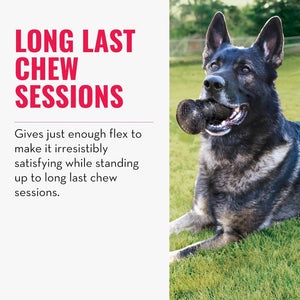 Promotional graphic for dog chew sessions featuring a German Shepherd lying on grass with a dark round chew in its mouth. Large pink text reads 'LONG LAST CHEW SESSIONS' and smaller black text below describes the product benefit at Pet Servo