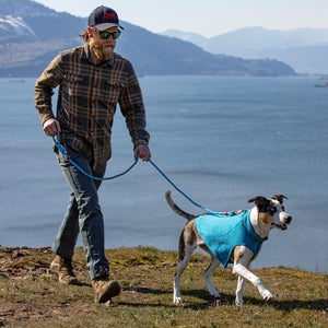 Stylish and lightweight sweater for cool weather walks - Petservo
